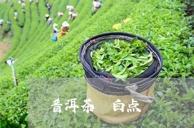 普洱茶 白点/2023042941198